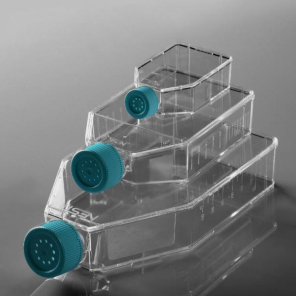 Cell culture flask